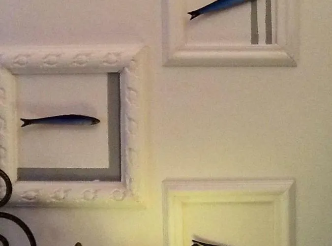 Appartement Ca D'ancioa *